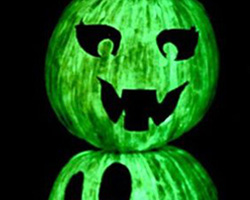 Wildfire | Pumpkins | by Delicate Construction Blog