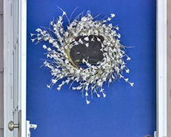 Front Door Paint | Calm | by PBJ Stories