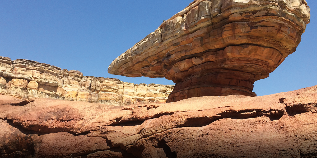 Architects and Designers Theme Paint