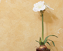 Decorative Painter’s Products | Texture Effects