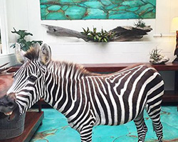 Metal Effects | Blue, Green, and Rust Finish | by Jennifer Gibson