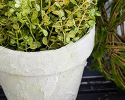 Decorative Painter’s Products | Texture Effects | by Finding Silver Pennies