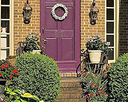 Front Door Paint | Playful | My Patch of Blue Sky