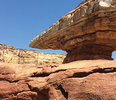 Architects and Designers Theme Paint