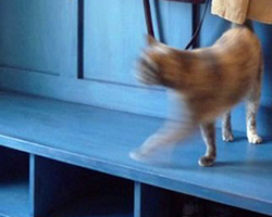 Decorative Painter’s Products | Tintable Glaze | by Meme Hill Studio