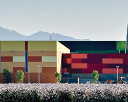 Theme Paint | Randall McDaniel Sports Complex | Avondale, Arizona