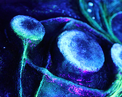 Wildfire | Sculptures | by Amber Cunningham of Rare Bird Art