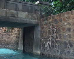 Theme Paint | Aulani Resort | Oahu, Hawaii
